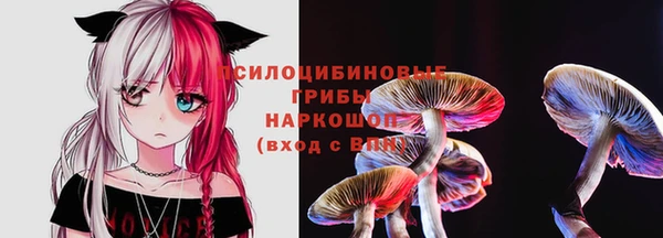 индика Липки