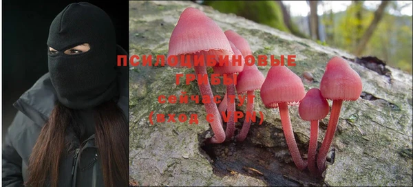 индика Липки