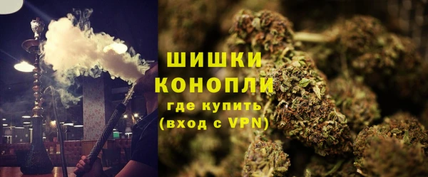 индика Липки