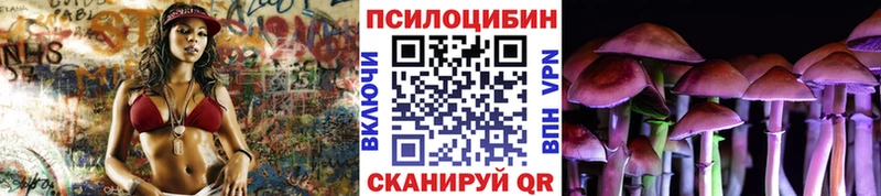 Галлюциногенные грибы Cubensis  Новое Девяткино 
