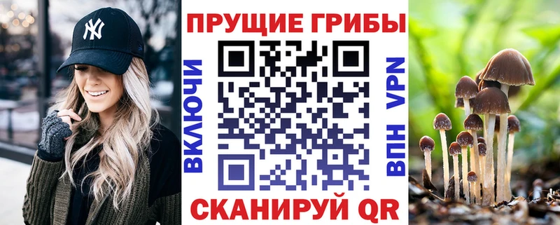 Псилоцибиновые грибы прущие грибы Новое Девяткино